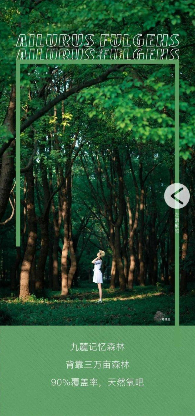 为什么会得红眼症？游戏画面